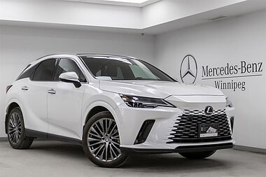 2024 Lexus RX